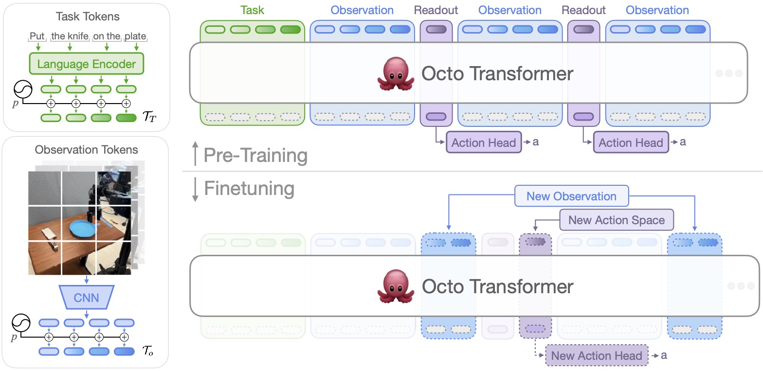 Octo 模型架构示意：语言与视觉观测编码后接入动作头，微调时替换新动作头
